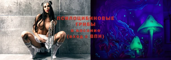 винт Нея