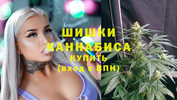 PSILOCYBIN Нефтегорск