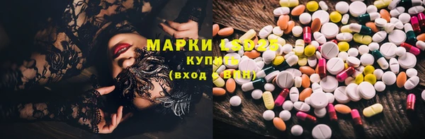PSILOCYBIN Нефтегорск