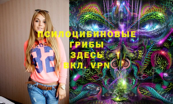 PSILOCYBIN Нефтегорск