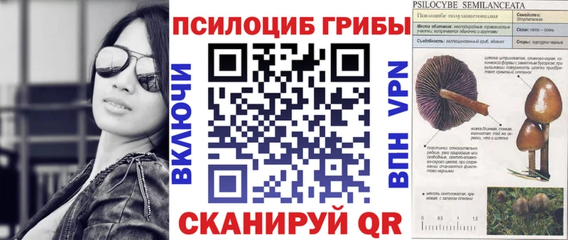 закладка  Скопин  OMG зеркало  Галлюциногенные грибы Psilocybine cubensis 